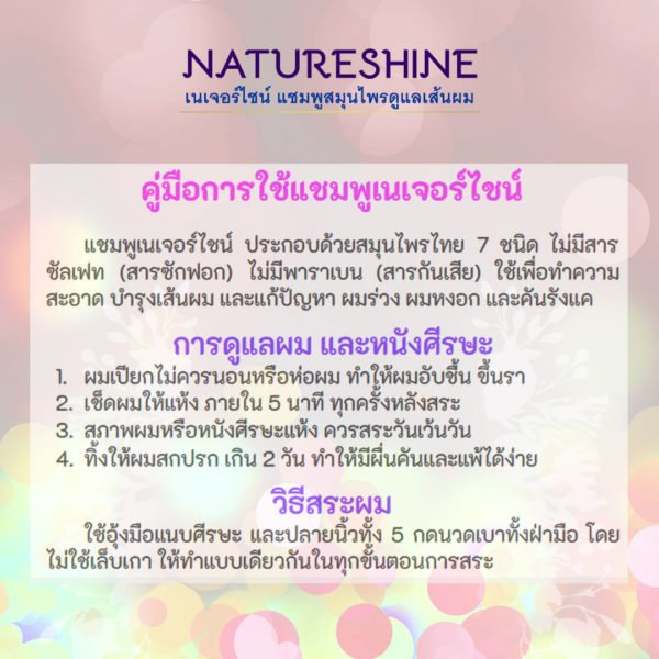 แพ็คคู่ แชมพูสมุนไพรเนเจอร์ไชน์ (Natureshine Herbal Shampoo) - Image 3