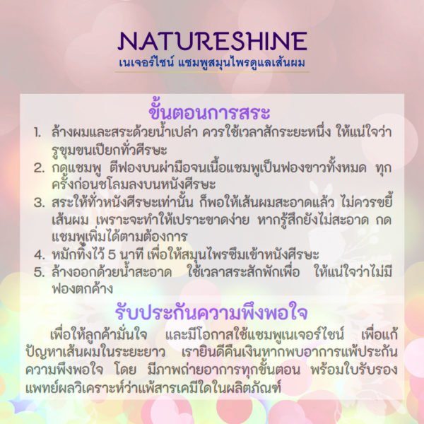 แพ็คคู่ แชมพูสมุนไพรเนเจอร์ไชน์ (Natureshine Herbal Shampoo) - Image 4